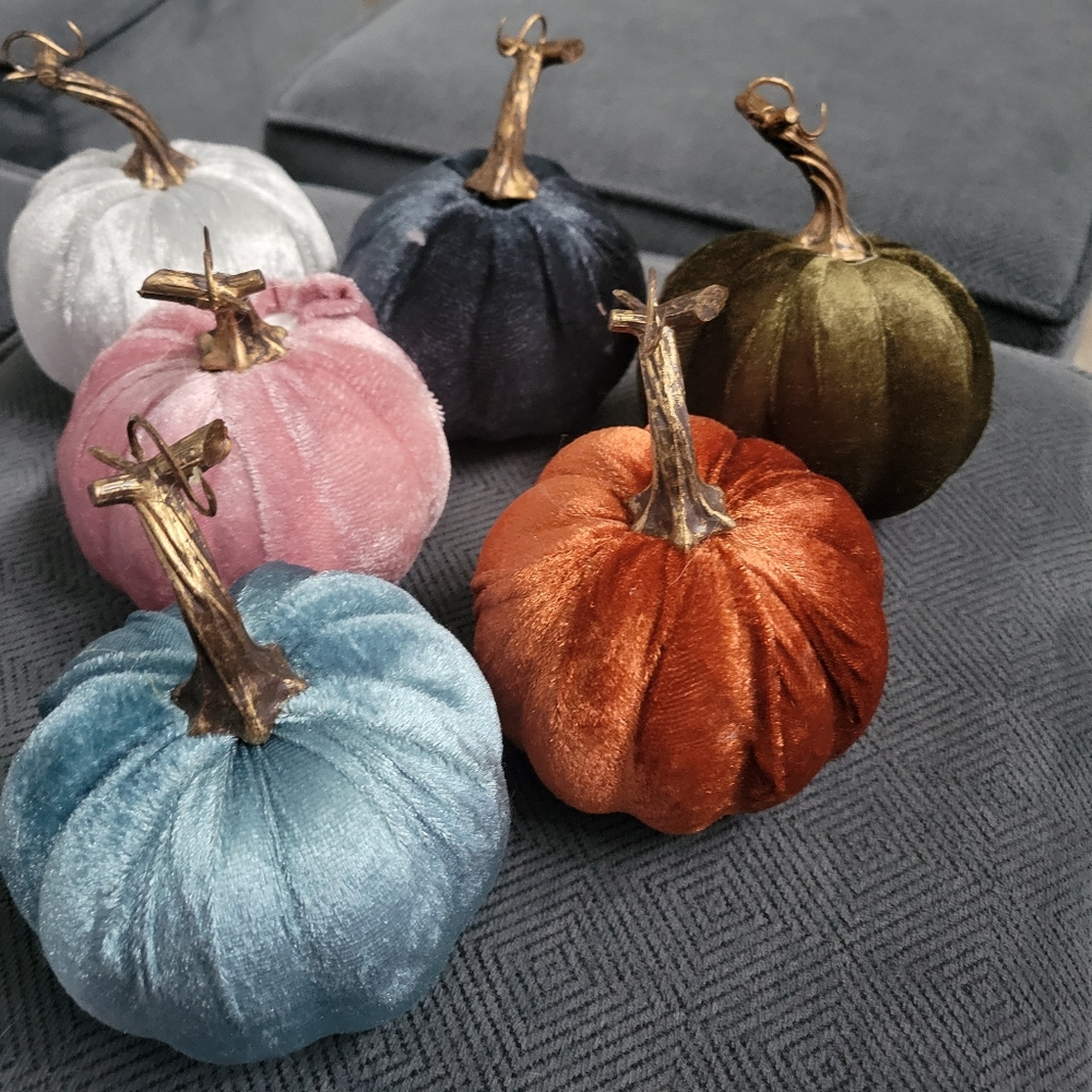 Set of 6 Dollar Tree Velvet Pumpkins - Picture 3 of 9